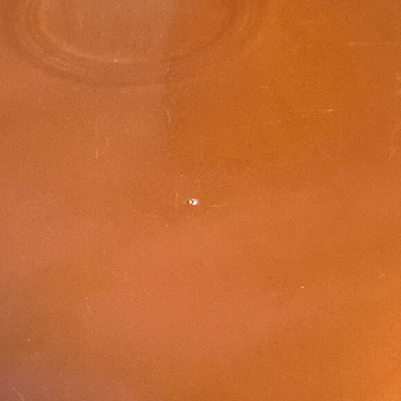 Homer Laughlin Fiesta Poppy 13.5" x 9.5" Large Oval Ceramic Serving Platter - Picture 3 of 8